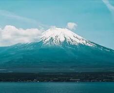 手机淘宝客户端（手机淘宝为什么打不开）